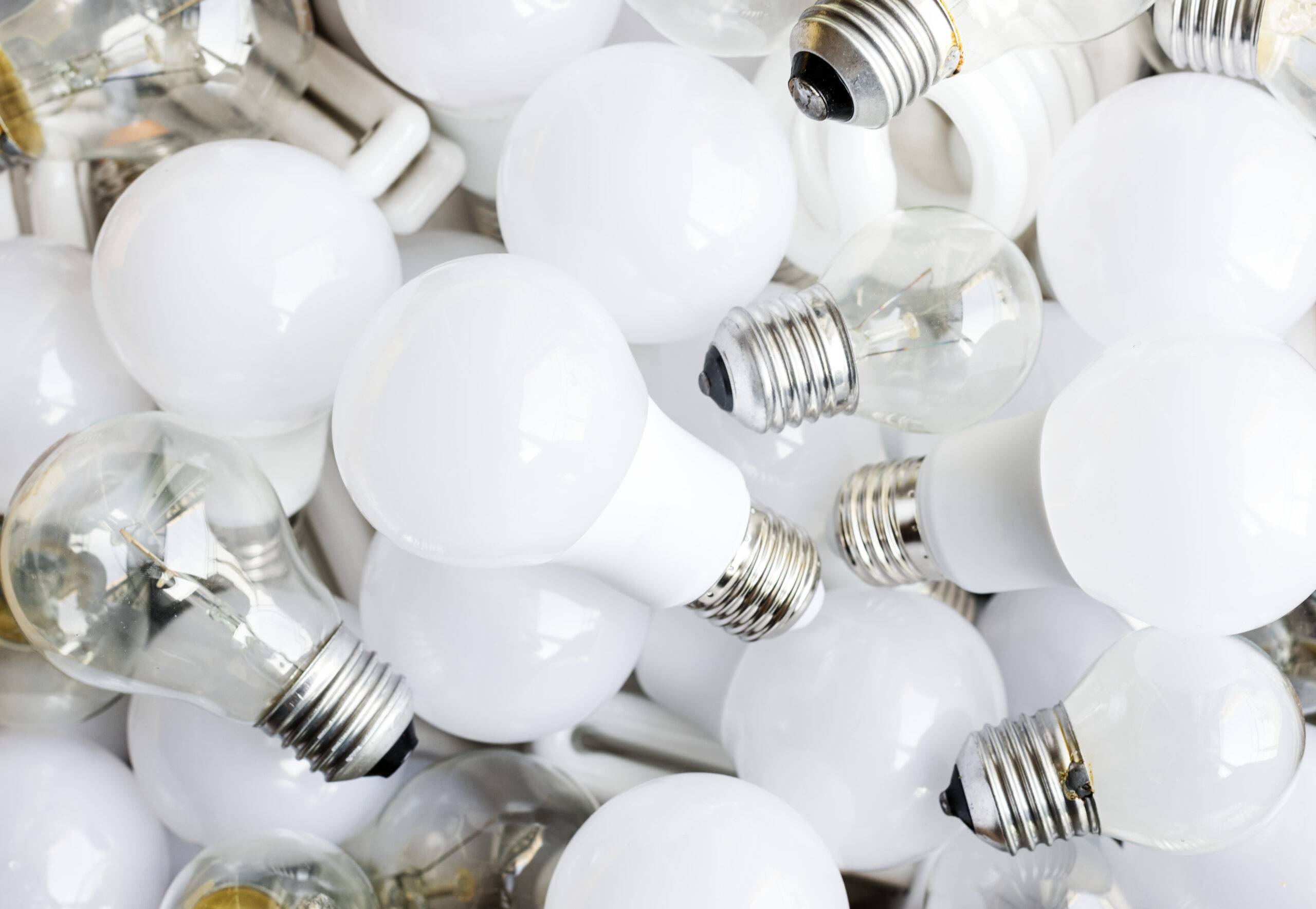 A pile of lightbulbs.