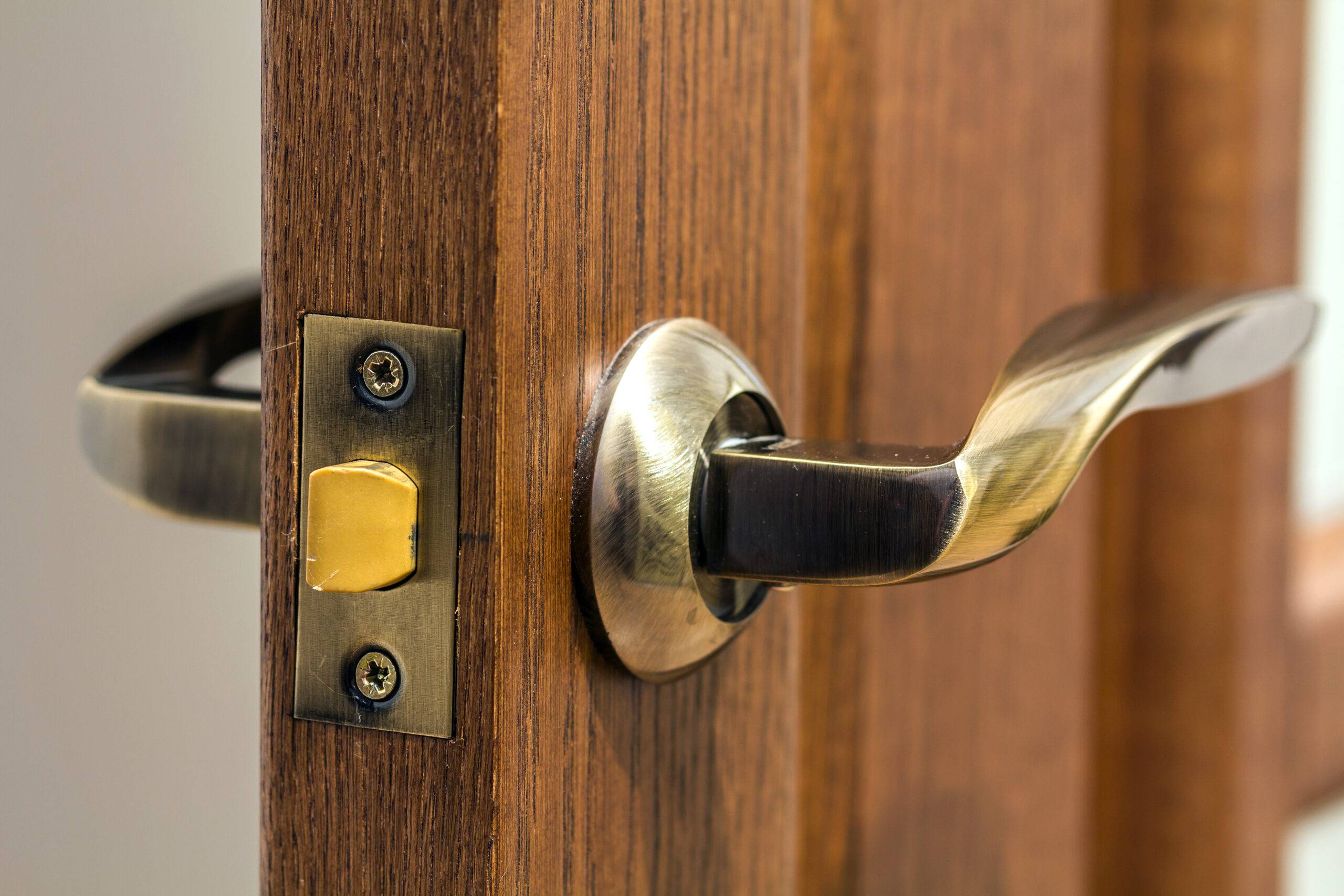Modern, contemporary satin metal handle on a wooden door close-up.