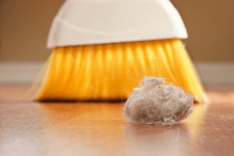 Broom and dust bunny.