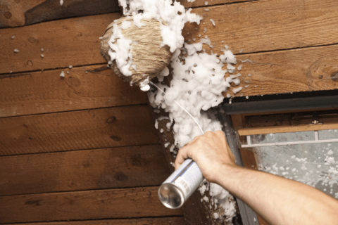 Spraying a wasp nest outside of a home window.