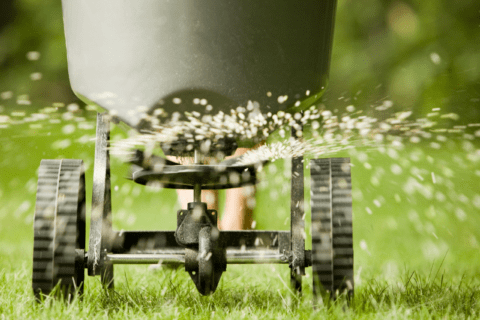 Automatic grass seed spreader.